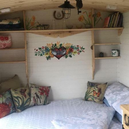 فندق بلفاستفي  Clydesdale Shepherds Hut المظهر الخارجي الصورة