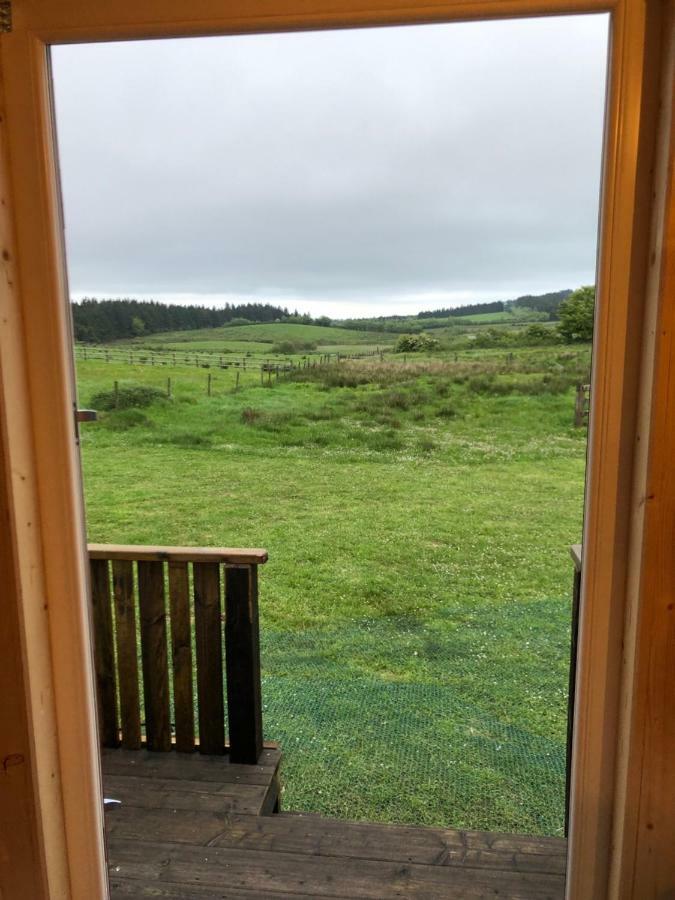 فندق بلفاستفي  Clydesdale Shepherds Hut المظهر الخارجي الصورة