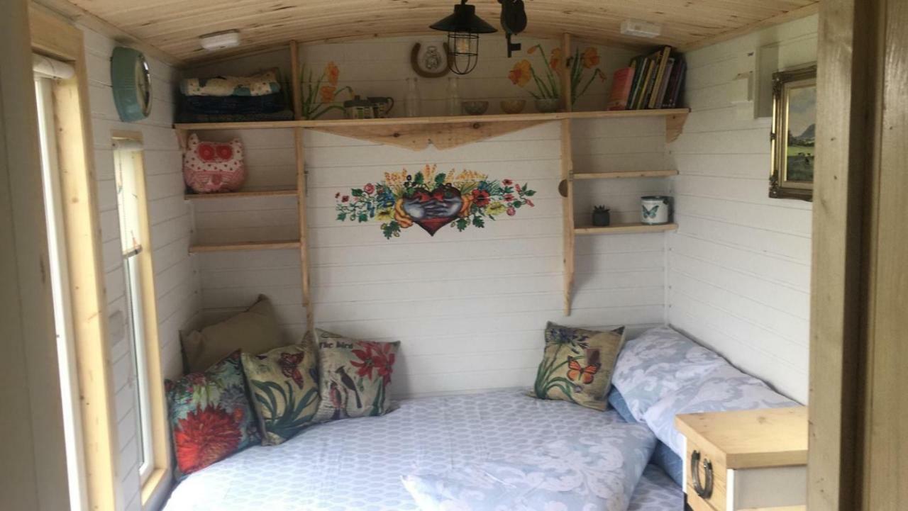 فندق بلفاستفي  Clydesdale Shepherds Hut المظهر الخارجي الصورة